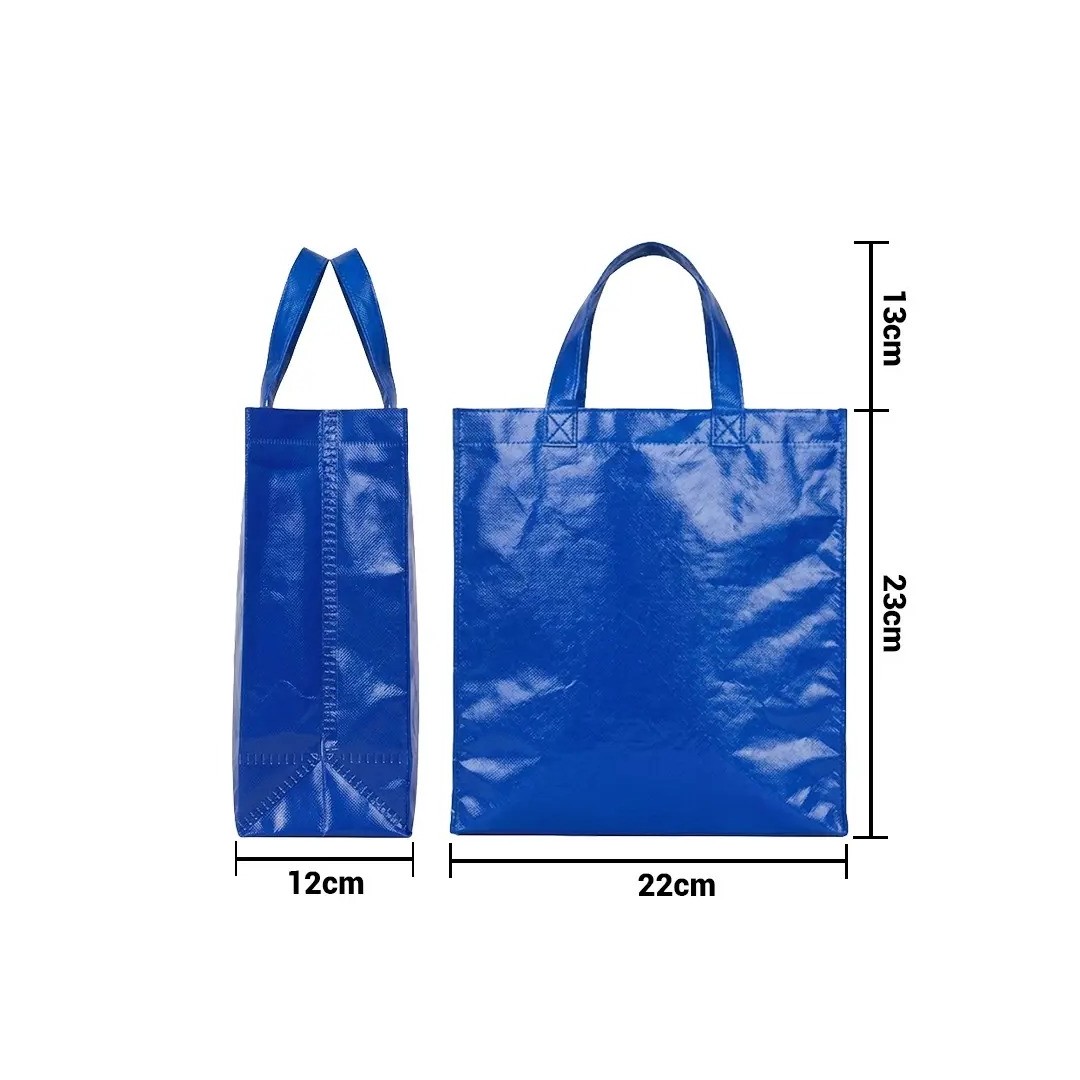 Bolso Cambrela Plastificado Azul Con Tira 23X22X11