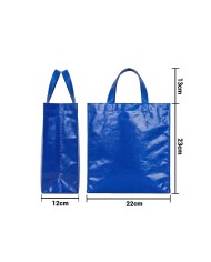 Bolso Cambrela Plastificado Azul Con Tira 23X22X11