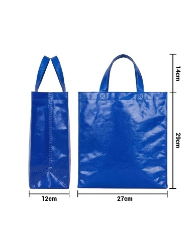 Bolso Cambrela Plastificado Azul Con Tira 27X29X12