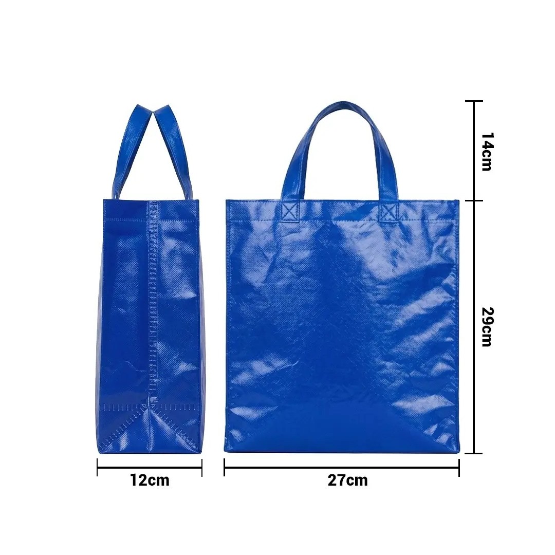 Bolso Cambrela Plastificado Azul Con Tira 27X29X12