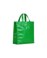 Bolso Cambrela Plastificado Verde Con Tira 27X29X12