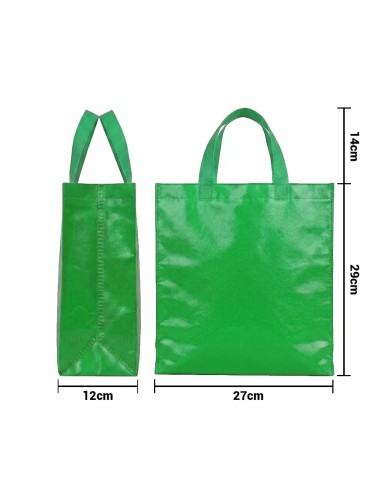 Bolso Cambrela Plastificado Verde Con Tira 27X29X12