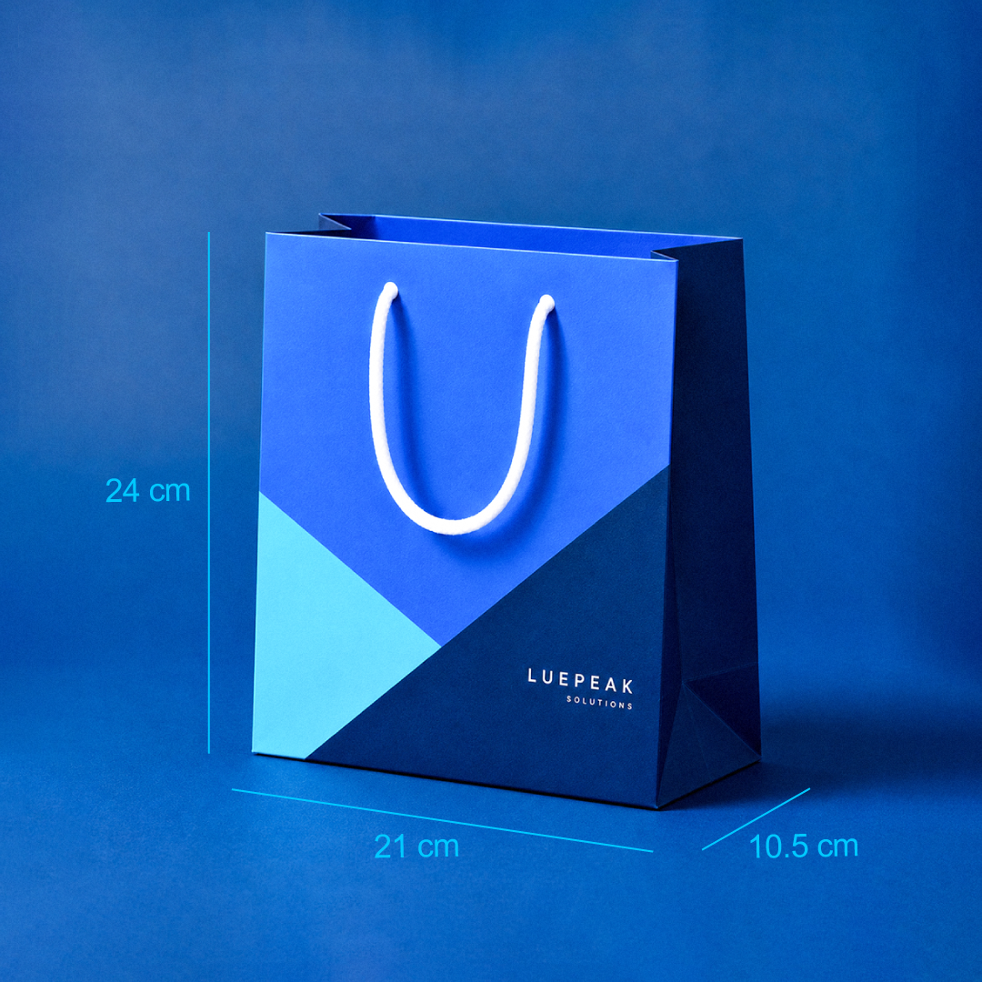 Shopping Bag Mediana 21 x 10.5 x 24 cm